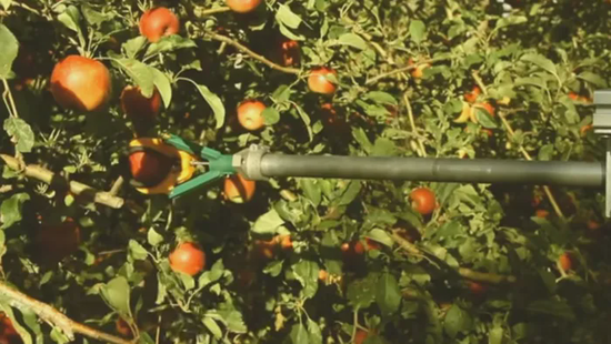 Reinforcement Learning: Investigating Gradient Stability in Policy Based Methods